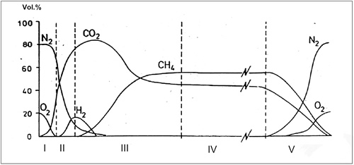 biogas